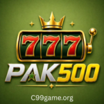Pak500 Game