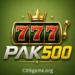 Pak500 Game