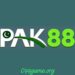 Pak88