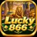 Lucky866