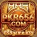 pkr656.com.webp