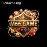 M66