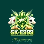 e999 Game